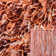 Poarch Shag Hand Loomed Performance Solid Color Rug