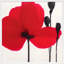 Red Poppy 1 Print by Ivo Stoyanov-1165568416-1165568418