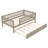 Miesner Kids Twin Daybed with Trundle-1936475025