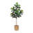 6' Fiddle Leaf Tree with Bamboo Planter