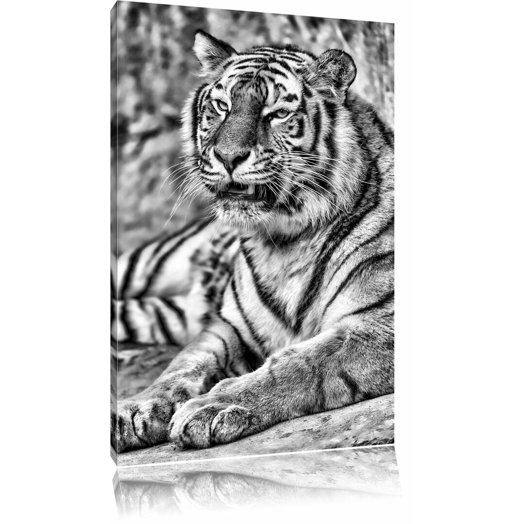 Leinwandbild Stolzer Tiger in Monochrom