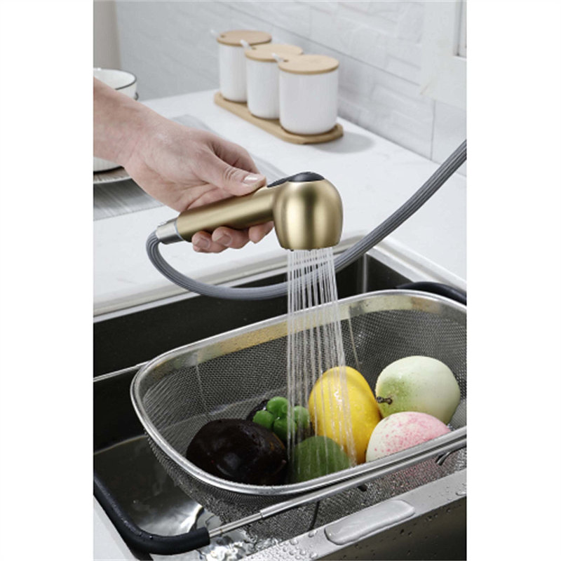 Red Cloud Pull Out Kitchen Faucet, Gold