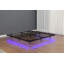 King Size Floating Bed Frames With LED Lights, Metal Platform Bed , Solid And Stable, Noise Free, No Box Spring Needed, Easy Assembly (King)