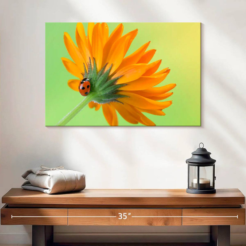 Ladybug Climbing Flower, 16" H x 24" W