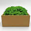 Mousse de renne préservée en vert émeraude-50091035
