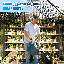 Polycarbonate Aluminum Frame Greenhouse Kit With Roof Vent-855993384