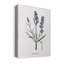 Lavande - impression sur toile tendue-580787129