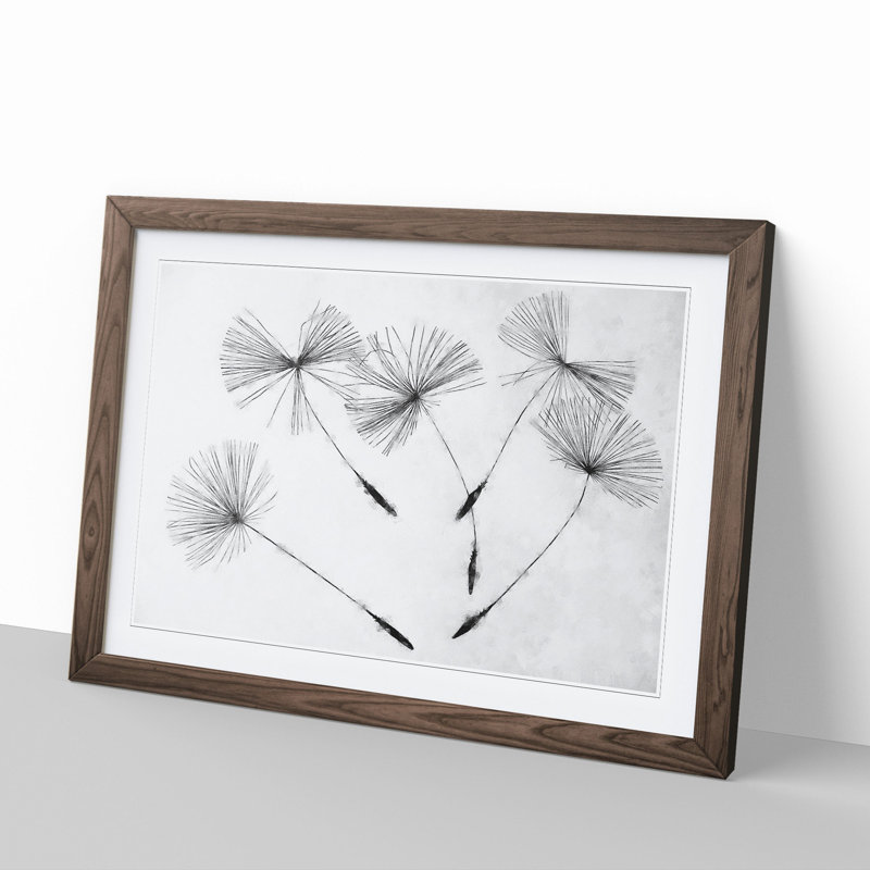 Dandelion Seeds Vol.2 - Framed Print, 36cm H x 48cm W x 2cm D, Walnut Framed