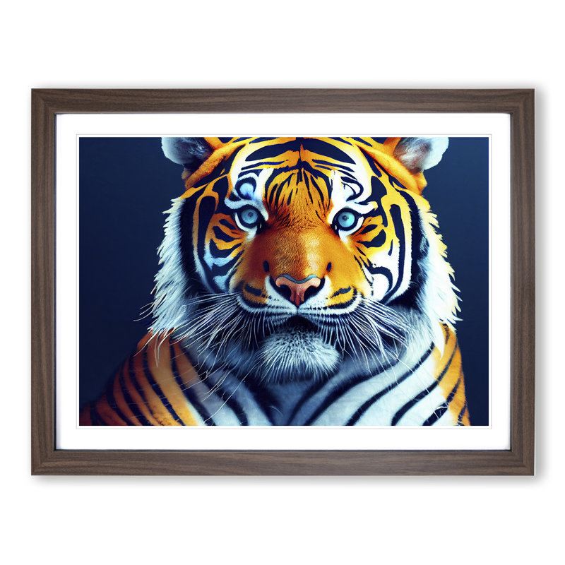 A Majestic Tiger - Framed Print, 34cm H x 46cm W x 2cm D, Walnut Framed