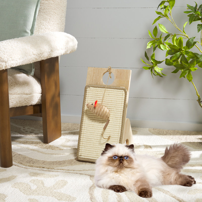 Jouet pour chat