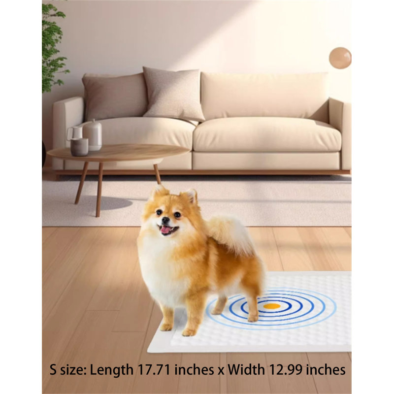 Tapis pour chien (ensemble de 50)