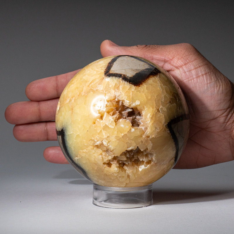 Genuine Polished Septarian (2") Sphere from Madagascar, 3.5" H x 3.5" W x 3.5" D, Yellow/Brown