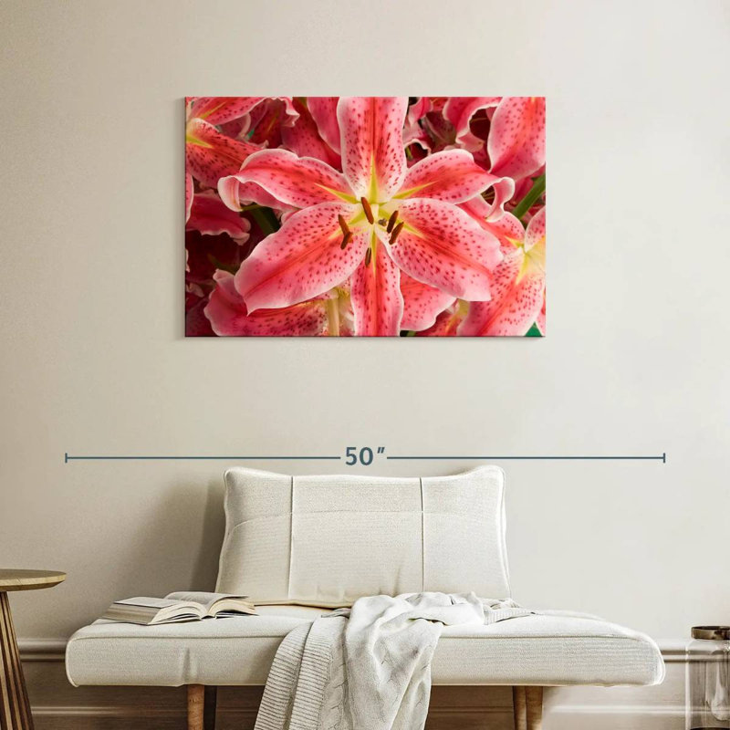 Fleurs de lys Harnek Stargazer, H 24 po x l 36 po