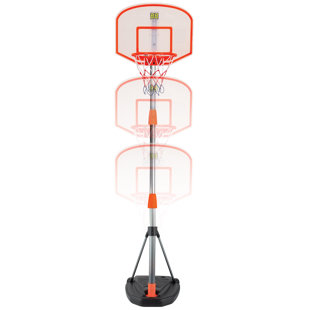 Pro Ball: 2in1 Basketball/Dartboard
