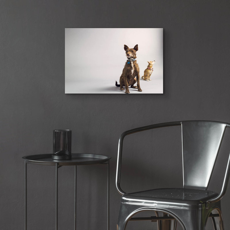 " Nope " by Susan Sabo, 16" H x 24" W x 0.2" D