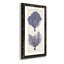 Indigo Seafans II - cadre photo, impression sur papier-1251405598