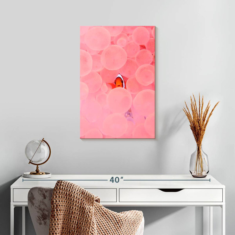 Brampt Pink Habitat Clownfish, 24" H x 16" W