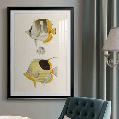 Poisson jaune et gris II - imprimé