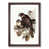 Walnut Framed