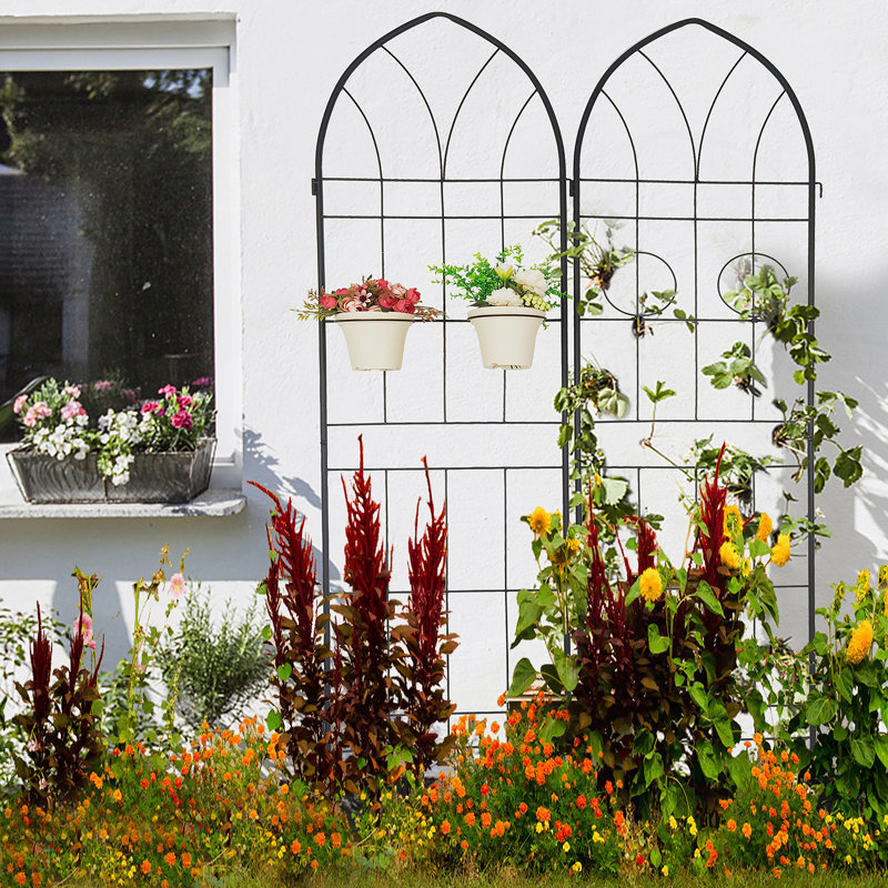 Treillis polyvalent en métal pour les plantes d'extérieur, rehaussant la beauté du jardin