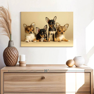 Adorable Chihuahua Dogs