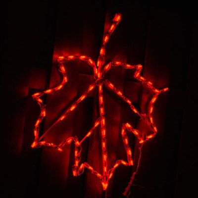 23AE886AA5E9400BA67E8537BBBF6A3B Leaf LED Display