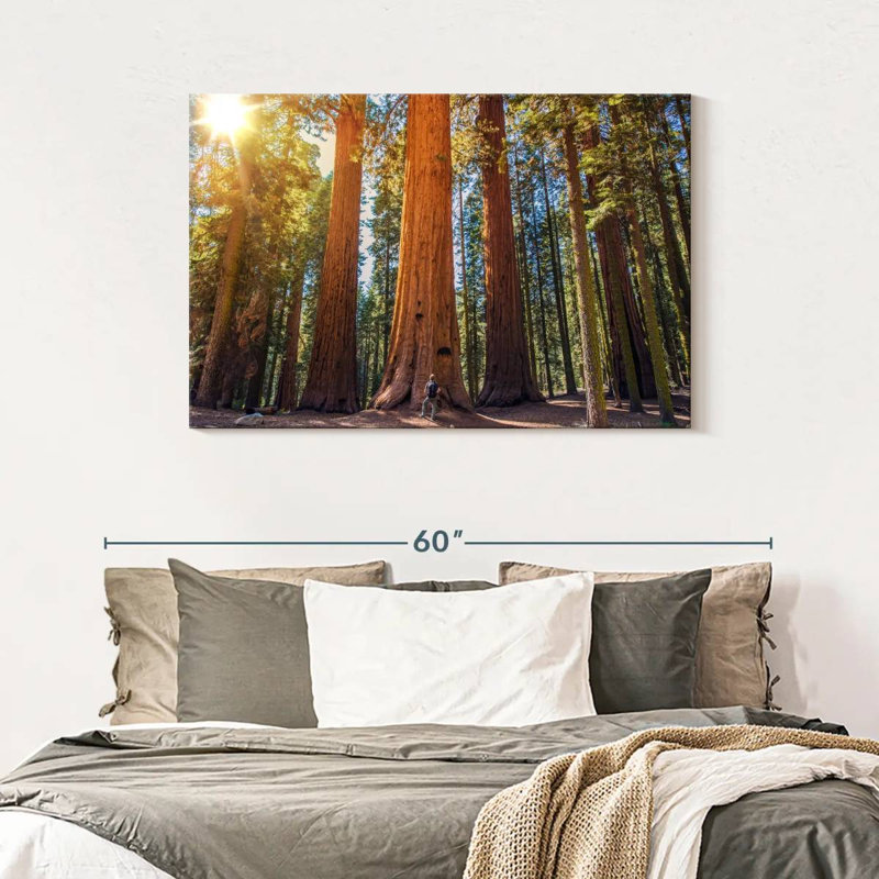 Harnek Giant Sequoia Trees, 30" H x 45" W