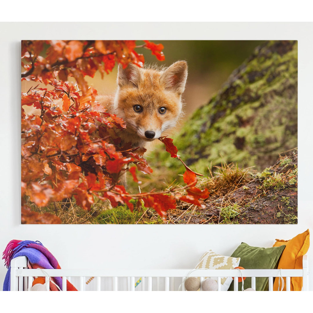 Leinwandbild Fox in Autumn