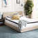 Sawbridgeworth Solid Colour Area Rug
