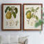 Toile encadrée vintage «I-Premium» - Prêt à accrocher-607085216-607085246