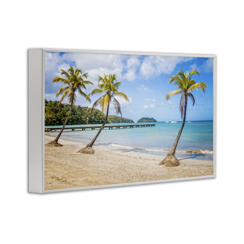 «Tropical Palm Tree», estampe numérique par Mary Lou Johnson, Estampe numérique encadrée blanc bord de mer, H 12 po x l 18 po