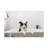 Funny Border Collie Bathee Canvas Wall Art