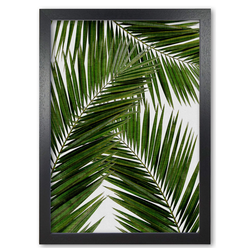 Palm Leaf III - Print, 85 cm H x 60 cm W x 5 cm D, Black Grain Frame