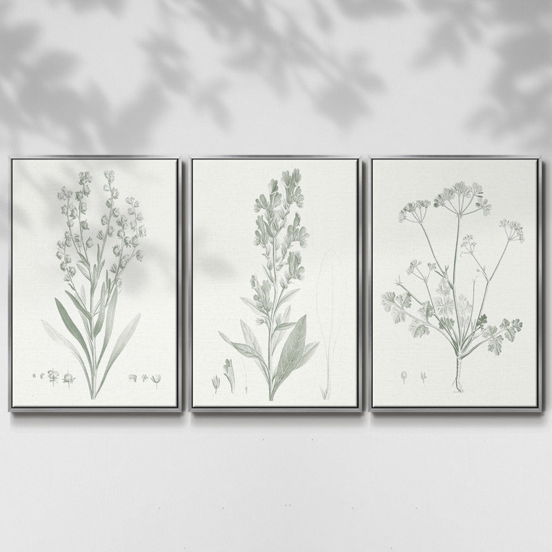 Étude botanique en sauge I 3 pièces, H 36 po x l 72 po, Argent