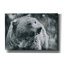 «Grizzly Snack» par Nathan Larson, art mural sur toile-997122145