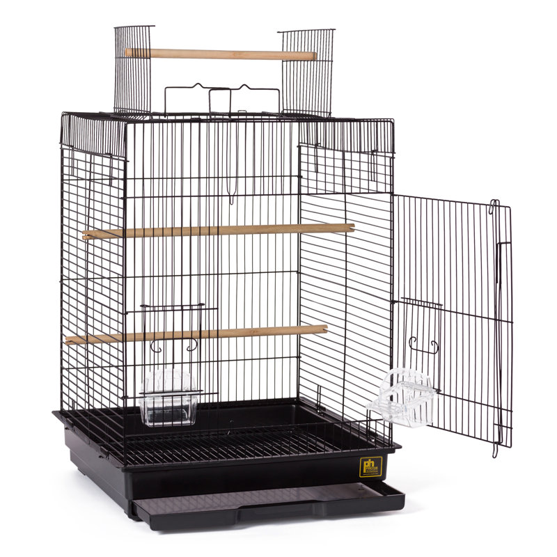 Cage à oiseaux avec perchoir avec plateau de jeu 24 po Chuhay, Noir
