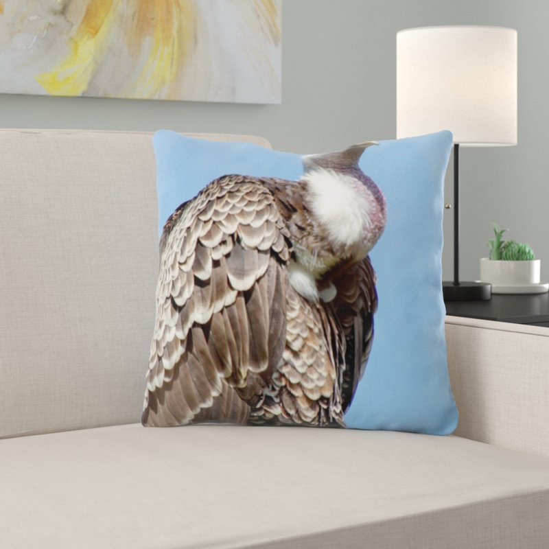 Coussin vulture