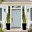 3,8 pi plante de serpent artificielle panachée jaune avec grand pot de fleurs noir Sansevieria en pot, décoration de sol moderne pour le salon-573965520