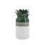 Grand vase en céramique vert et blanc avec ananas, 4,9 po x 4,9 po x 9,8 po