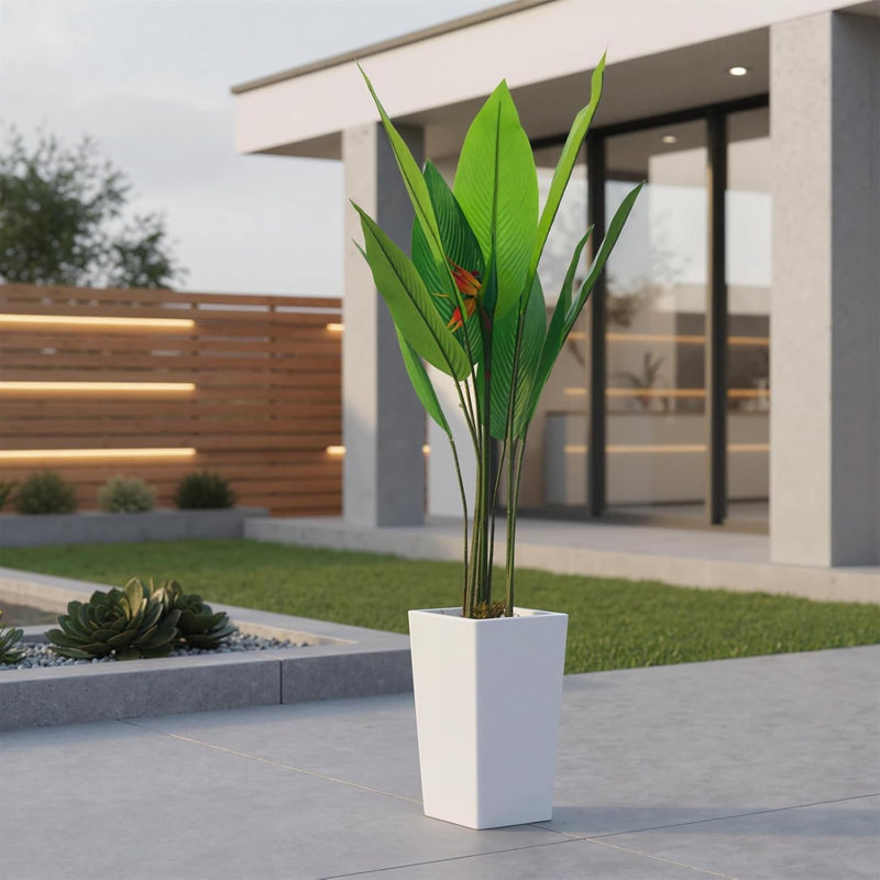 147cm Plant