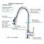 Belfry Kitchen Bauerle Pull Out Kitchen Faucet