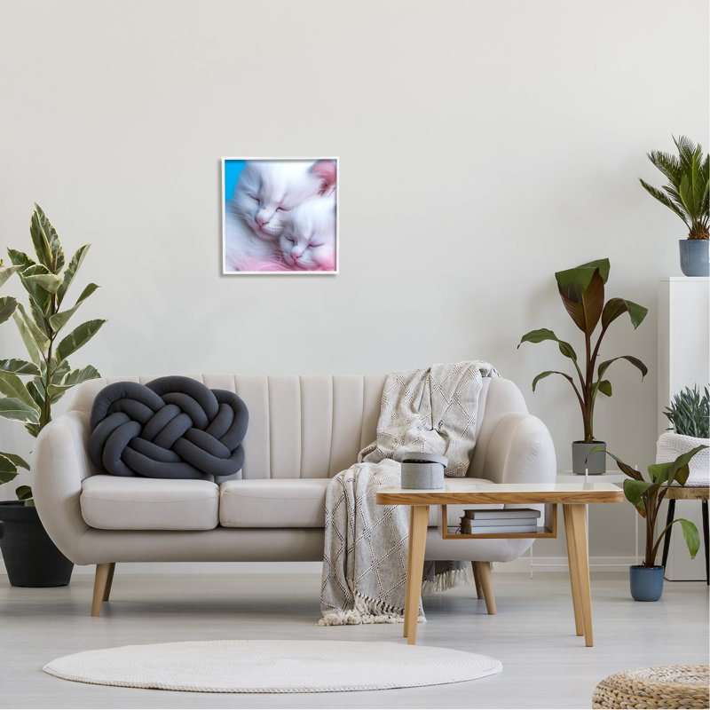 "Tucked In White Cats" par Roozbeh, reproduction de photo sur toile, Giclée encadrée blanc bord de mer, H 12 po x l 12 po