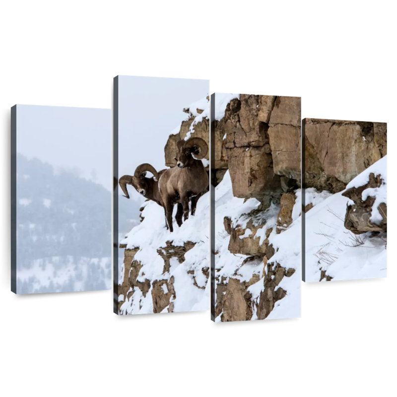 Mouflon d'hiver Brampt, H 22 po x l 36 po