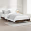 Brotherhood Bed-1725702486-1722525218