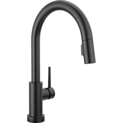 Robinet d'évier de cuisine à commande tactile avec pulvérisateur rétractable Trinsic