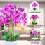 Grande orchidée rose, fausse fleur 31 po, pot de fleurs blanc, décoration de table de bureau à domicile