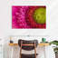 Harberk magnifié Gerbera Daisy-111885634