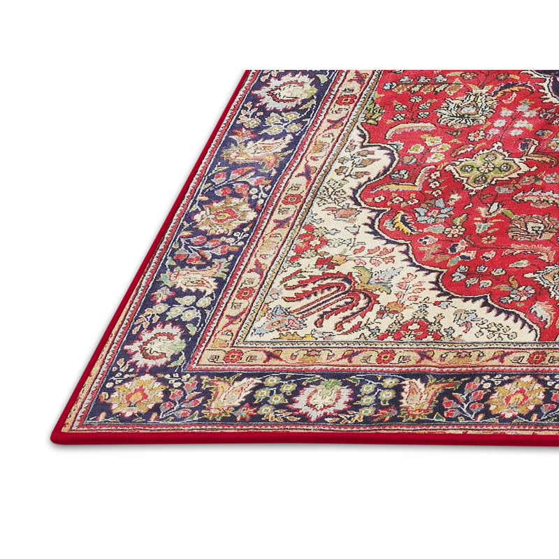 Ayse Oriental Indoor Rug, Rectangle 4' x 6'
