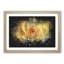 Yellow Rose - Framed Print-56842360-56842361