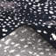 Louis Animal Print Hand-Knotted Wool/Cotton Ivory Area Rug-64487991-126288448
